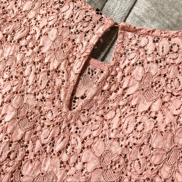 Zara Blush Pink Lace Bell Sleeve Blouse Size Small - Picture 6 of 8